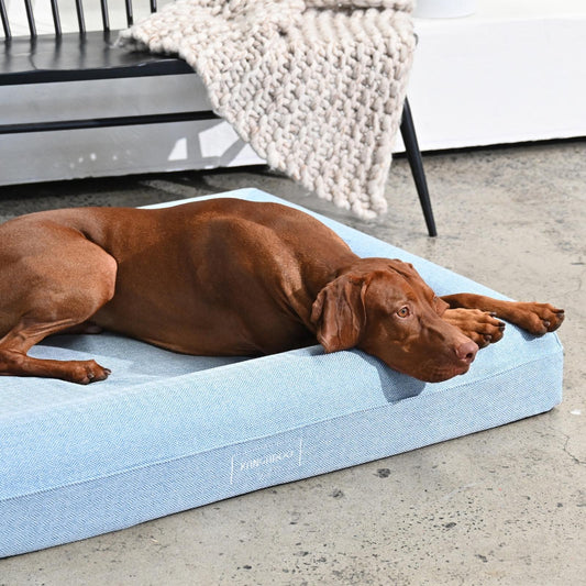 Blue Lux Cover for Kangaroo Bed